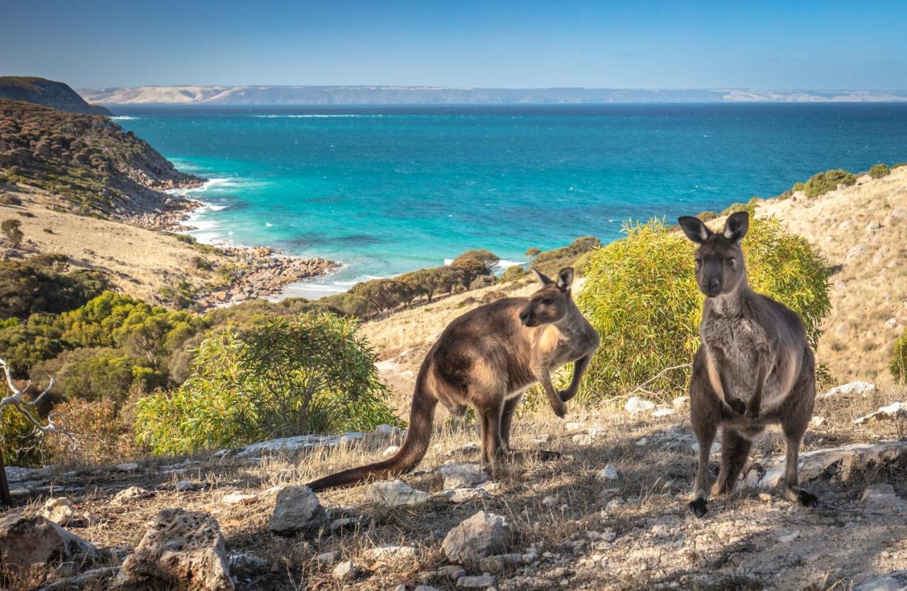 Sea Dragon Kangaroo Island Penneshaw Exterior foto