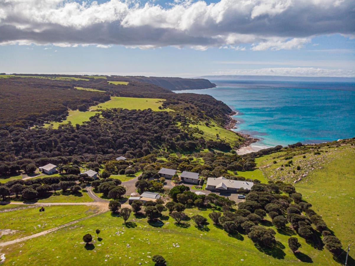 Sea Dragon Kangaroo Island Penneshaw Exterior foto
