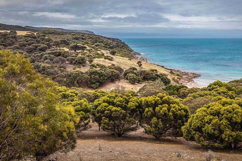 Sea Dragon Kangaroo Island Penneshaw Exterior foto